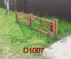 D1007_new2