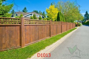 D1013