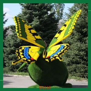 D1116