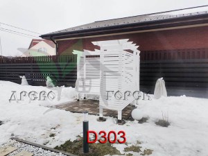 D303_new2