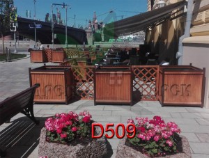 D509_new1