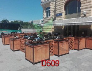D509_new2