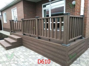 D610