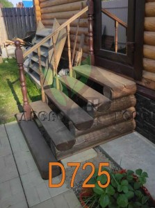 D725_new2