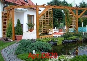 D820