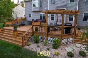 D920